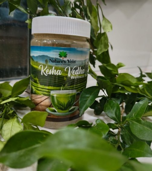 WhatsApp Image 2025-06-24 at 8.09.09 PM