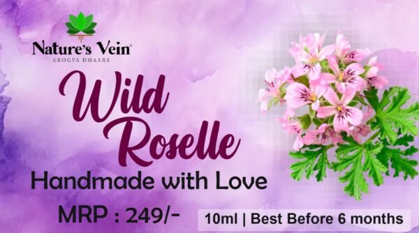 Wild Roselle