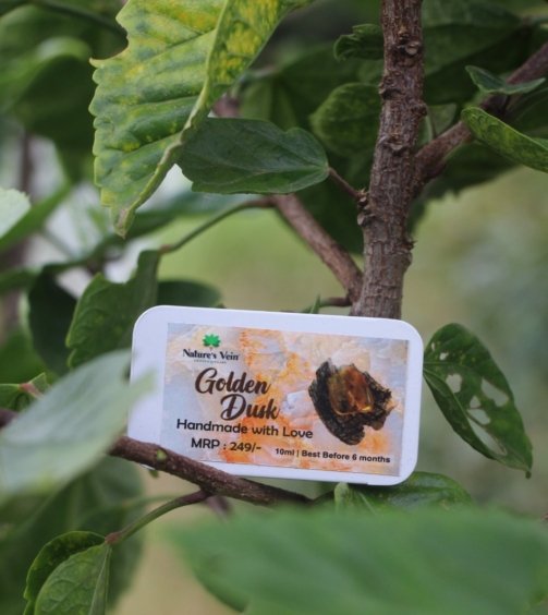 WhatsApp Image 2025-07-09 at 6.55.21 PM