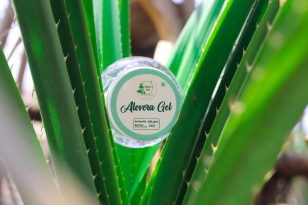 Alovera gel(100 gram)